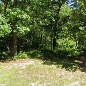 This Summer, Make Moves! 0.203 Acres in Fulton, AR – Only $75/Month to Own It!