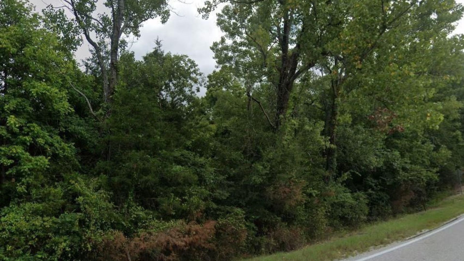 This Summer, Make Moves! 0.203 Acres in Fulton, AR – Only $75/Month to Own It! - Image 9