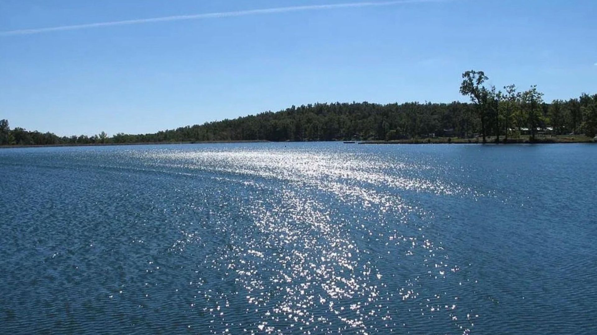 Autumn Deal! 0.32 Acres in Cherokee Village – No Credit Check, $75/Mo Financing - Image 9