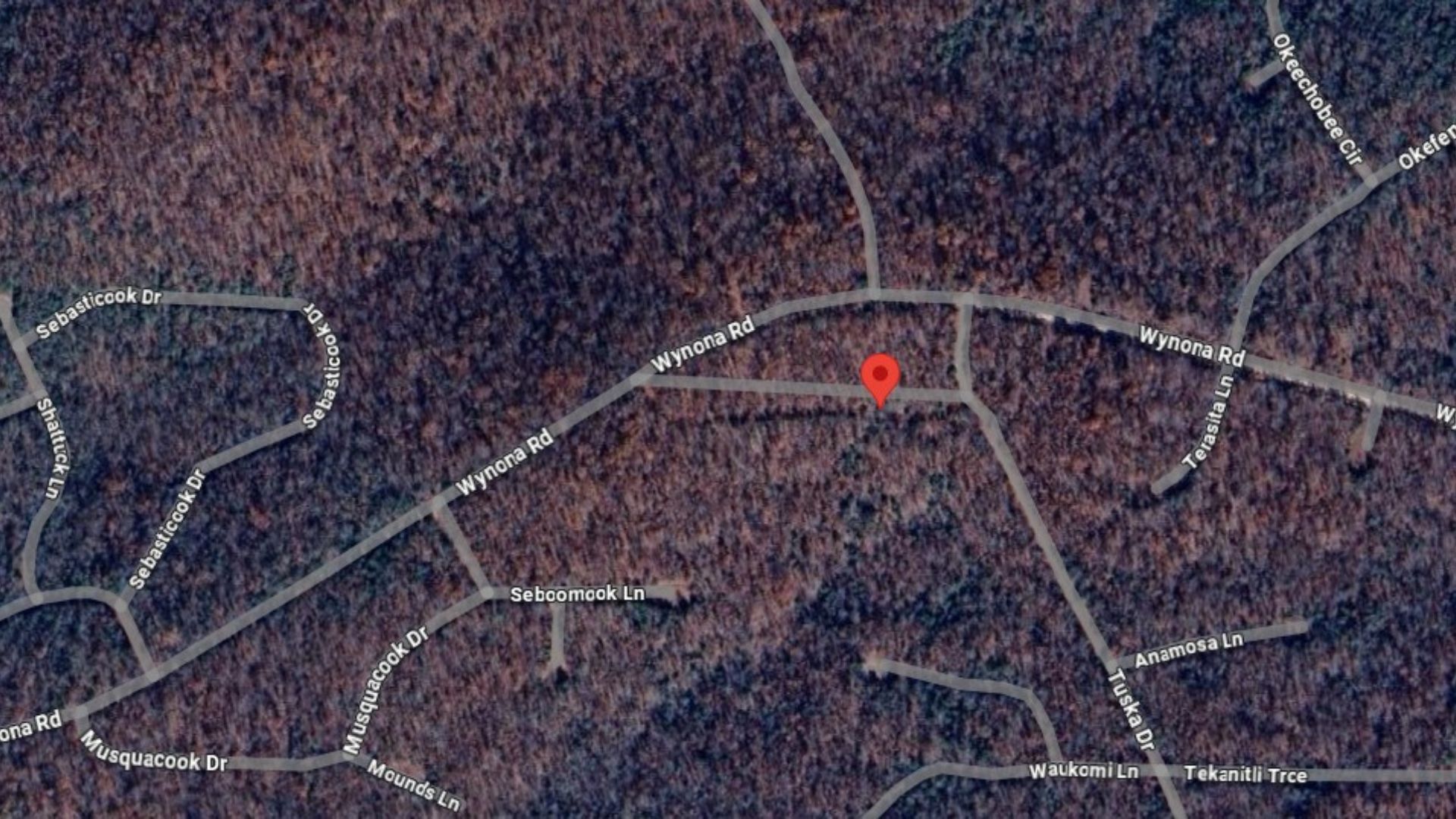 π Mini Lot, Mega Romance β Own 0.21 Acres in Fulton, AR! 75/MO! - Image 8