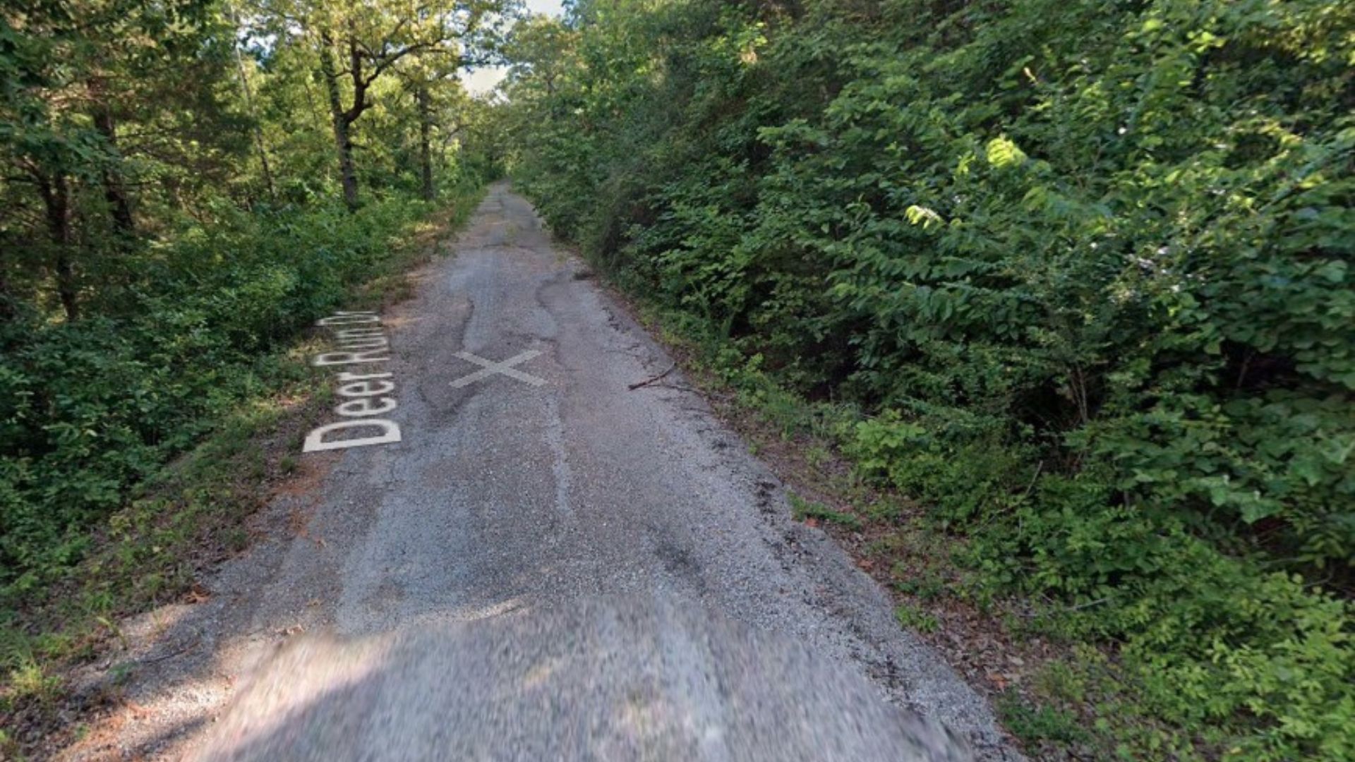 Hidden Forest Escape in Sharp County, AR – $50/MO | Build Your Off-Grid Dream - Image 11