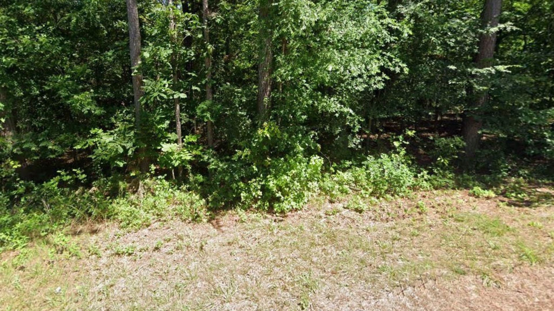 It's Summer! Own 0.194 Acres in Cherokee Village the Cheapest Way for As Low As $75/Mo - Image 10