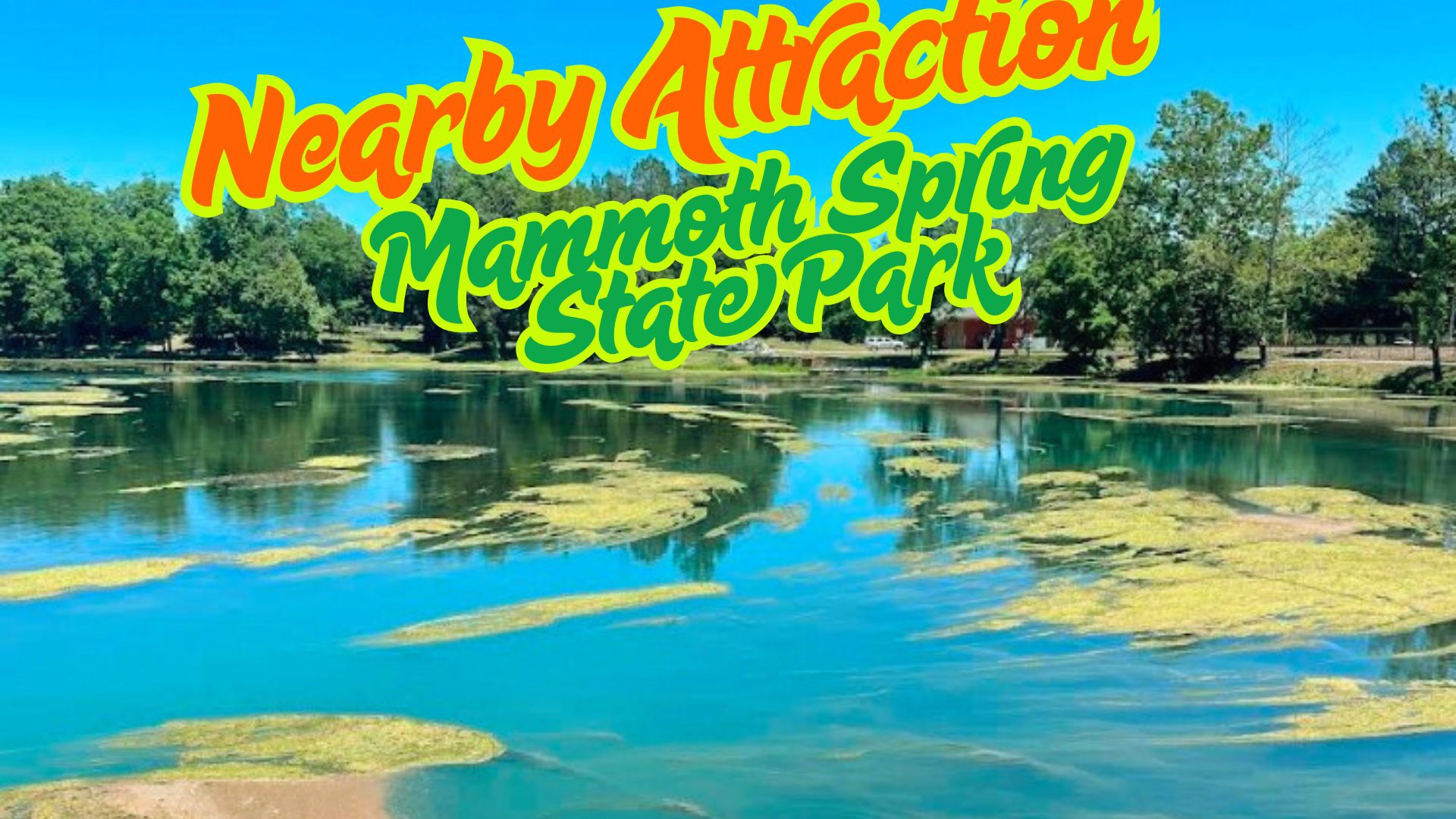 Hidden Forest Escape in Sharp County, AR – $50/MO | Build Your Off-Grid Dream - Image 5