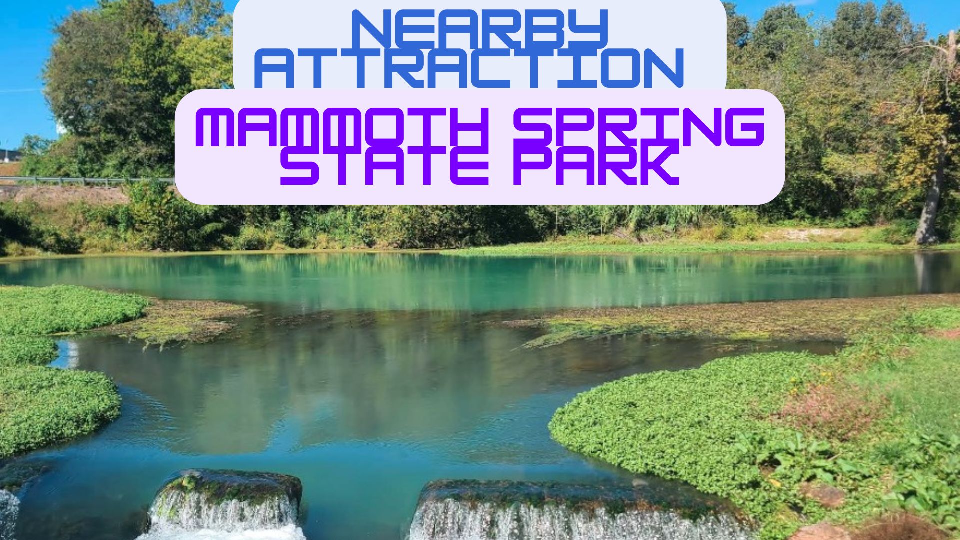 Hidden Forest Escape in Sharp County, AR – $50/MO | Build Your Off-Grid Dream - Image 6