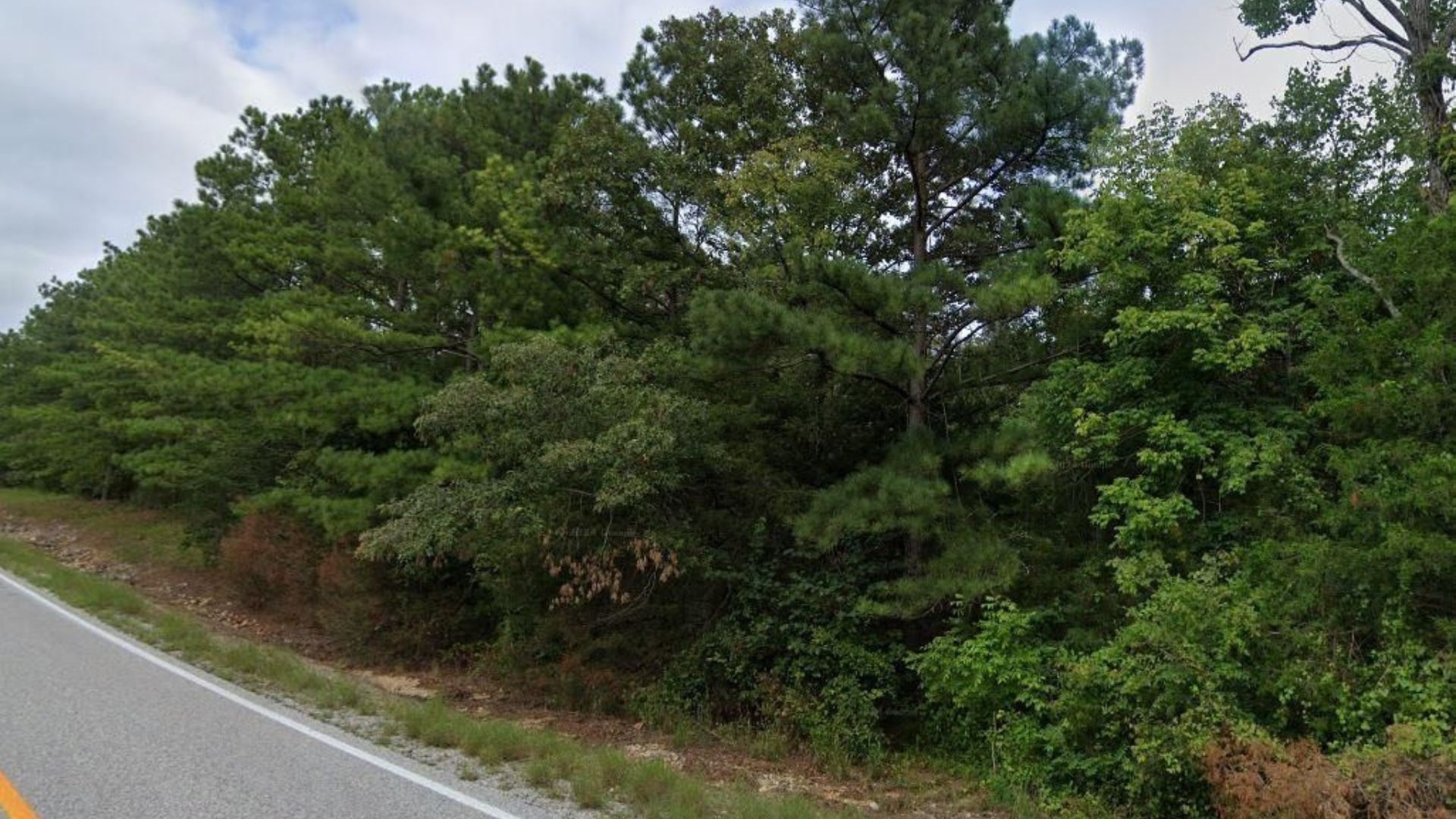 This Summer, Make Moves! 0.203 Acres in Fulton, AR – Only $75/Month to Own It! - Image 4