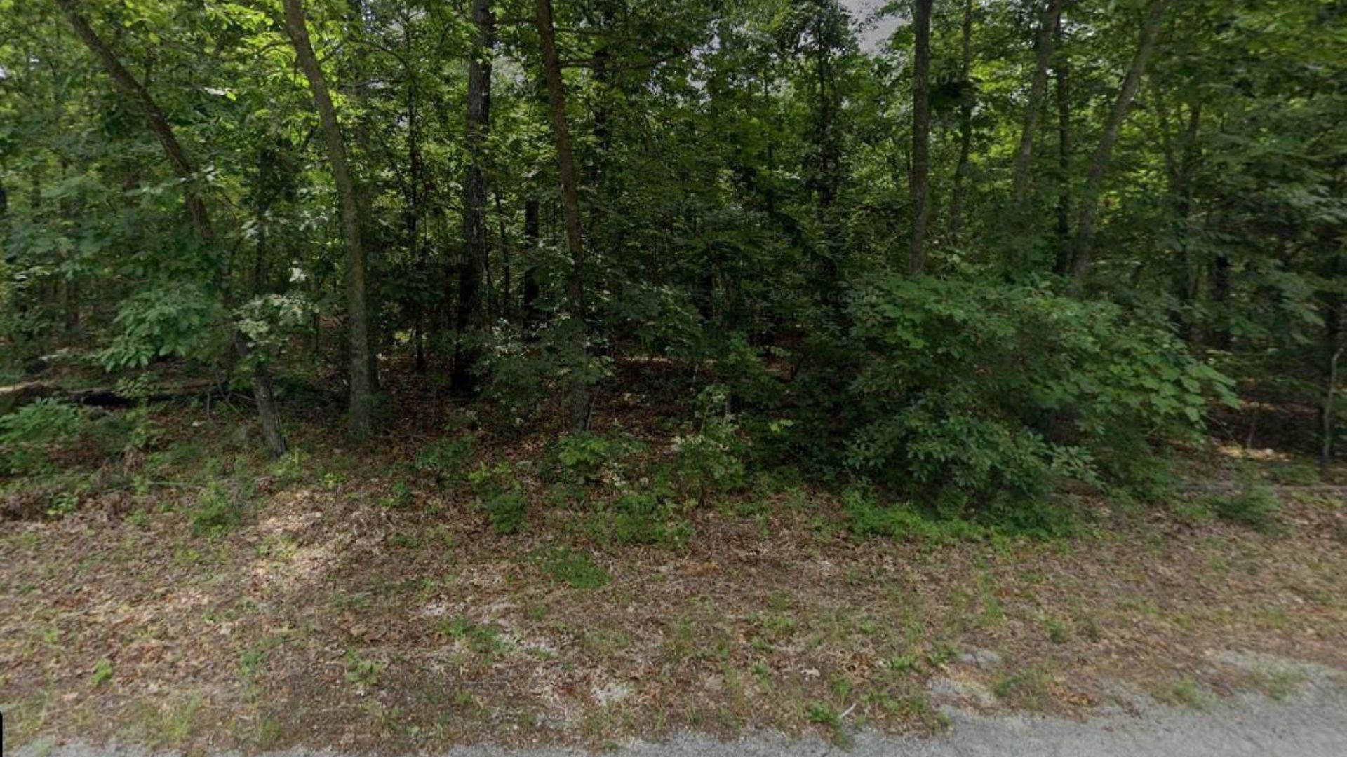 Autumn Deal! 0.32 Acres in Cherokee Village – No Credit Check, $75/Mo Financing - Image 4