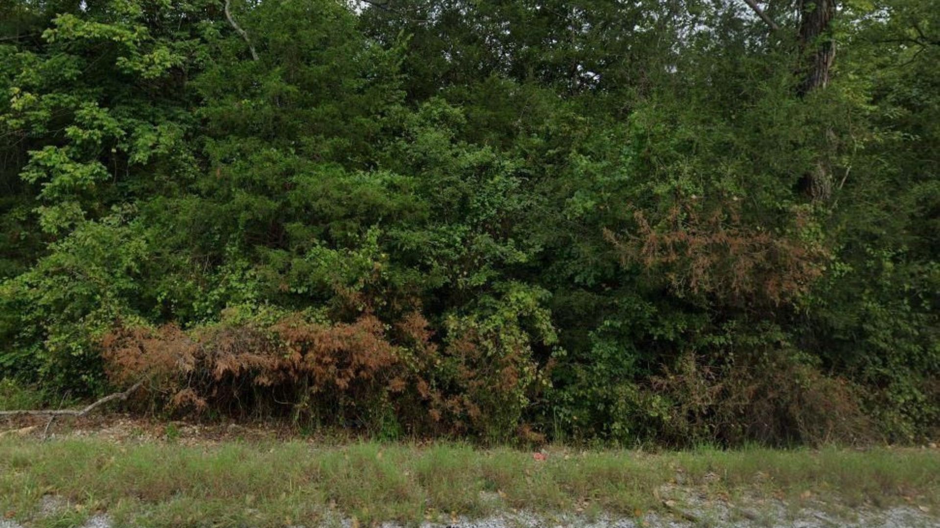 This Summer, Make Moves! 0.203 Acres in Fulton, AR – Only $75/Month to Own It! - Image 5