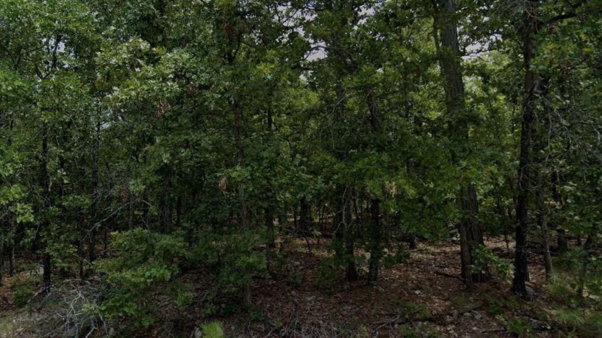 It's Summer! Own 0.194 Acres in Cherokee Village the Cheapest Way for As Low As $75/Mo - Image 14