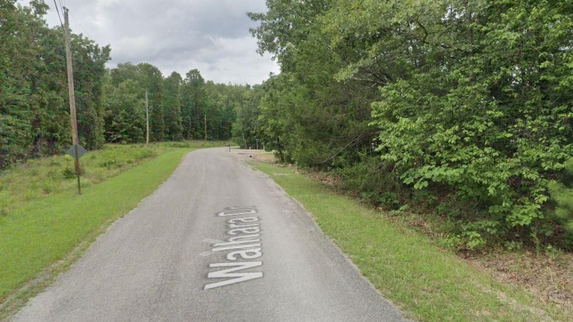 Autumn Deal! 0.32 Acres in Cherokee Village – No Credit Check, $75/Mo Financing - Image 5