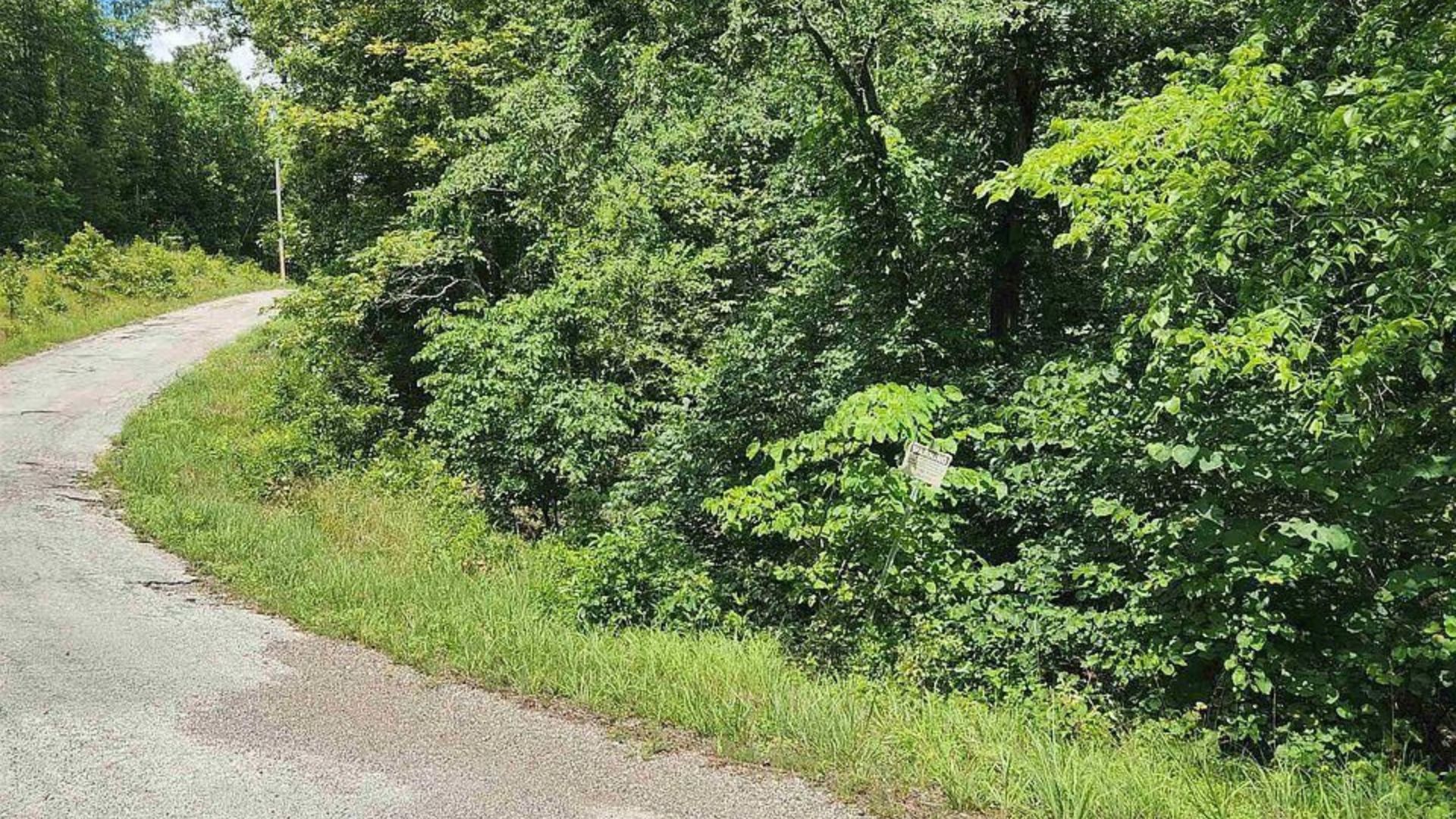 π Mini Lot, Mega Romance β Own 0.21 Acres in Fulton, AR! 75/MO! - Image 13