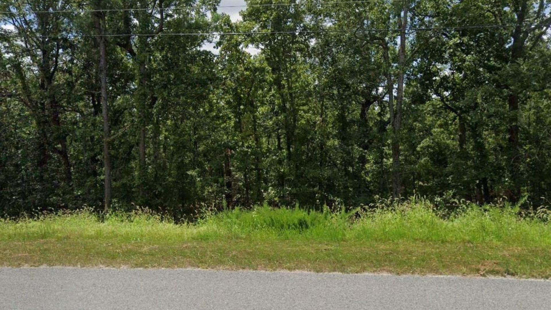 It's Summer! Own 0.194 Acres in Cherokee Village the Cheapest Way for As Low As $75/Mo - Image 16