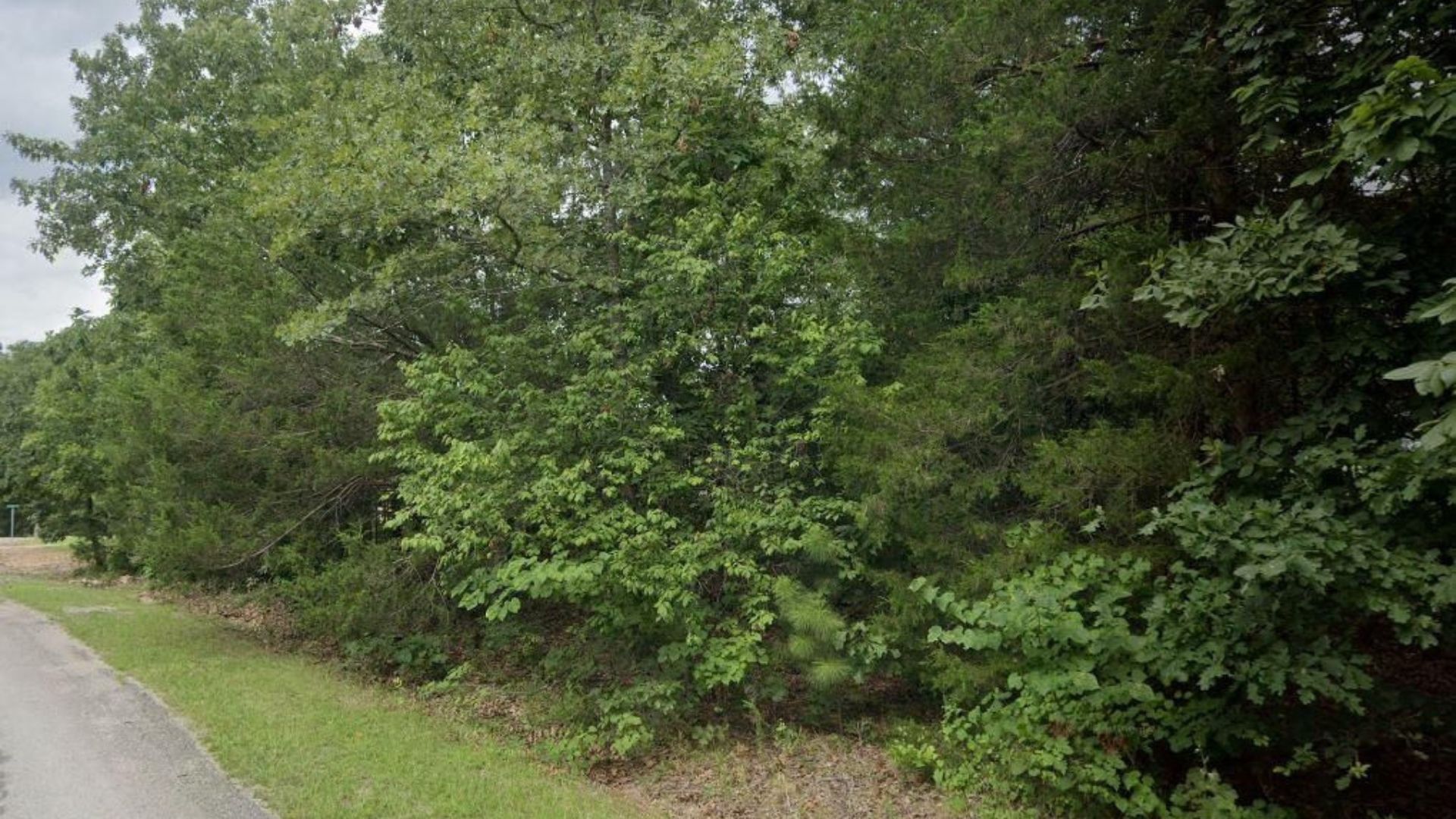 Autumn Deal! 0.32 Acres in Cherokee Village – No Credit Check, $75/Mo Financing - Image 6