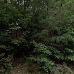 🌲 Heart + Land = Happiness — 0.25 Acres in Fulton, AR! Just $75/Mo!”