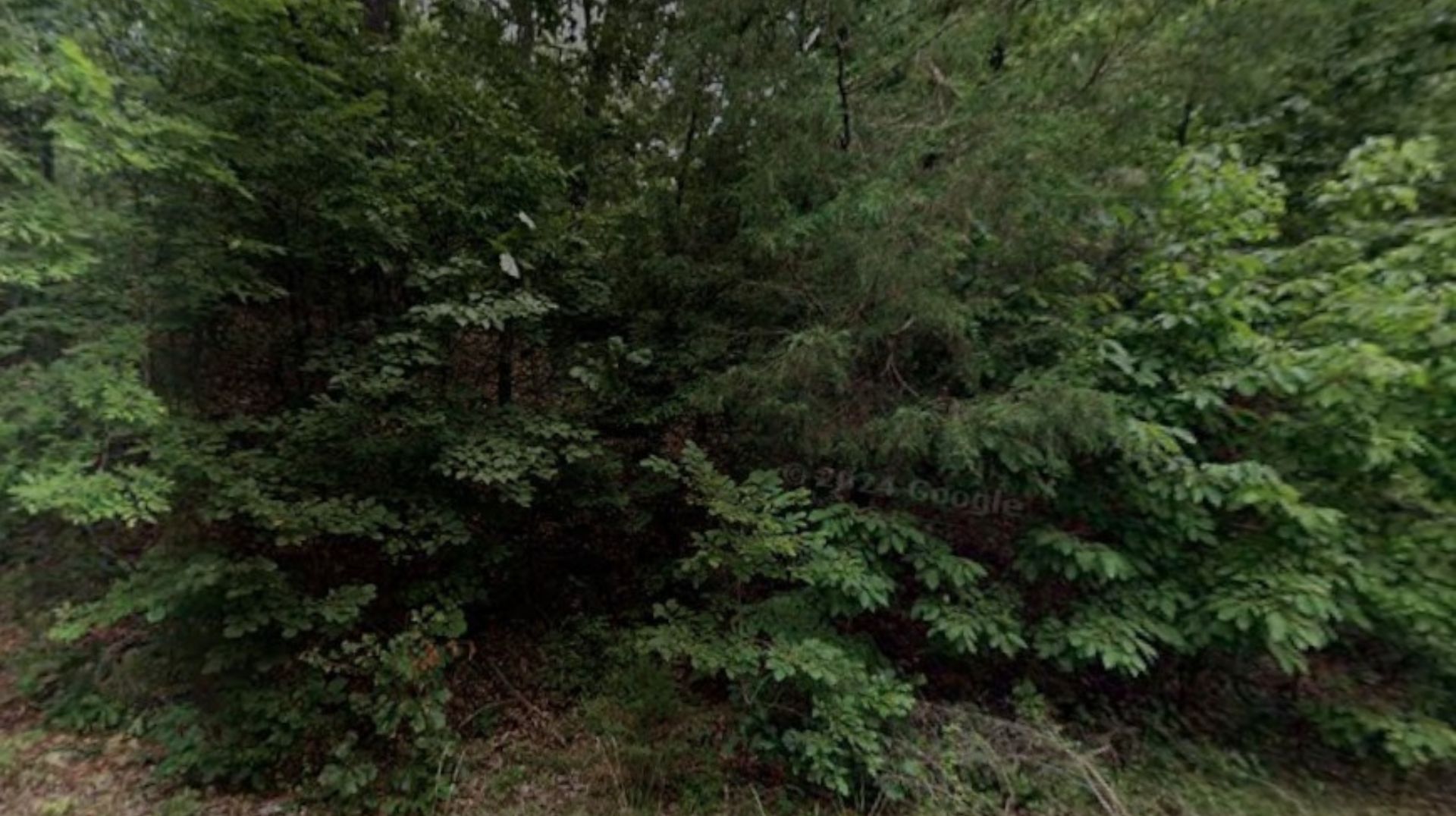 π² Heart + Land = Happiness β 0.25 Acres in Fulton, AR! Just $75/Mo!β