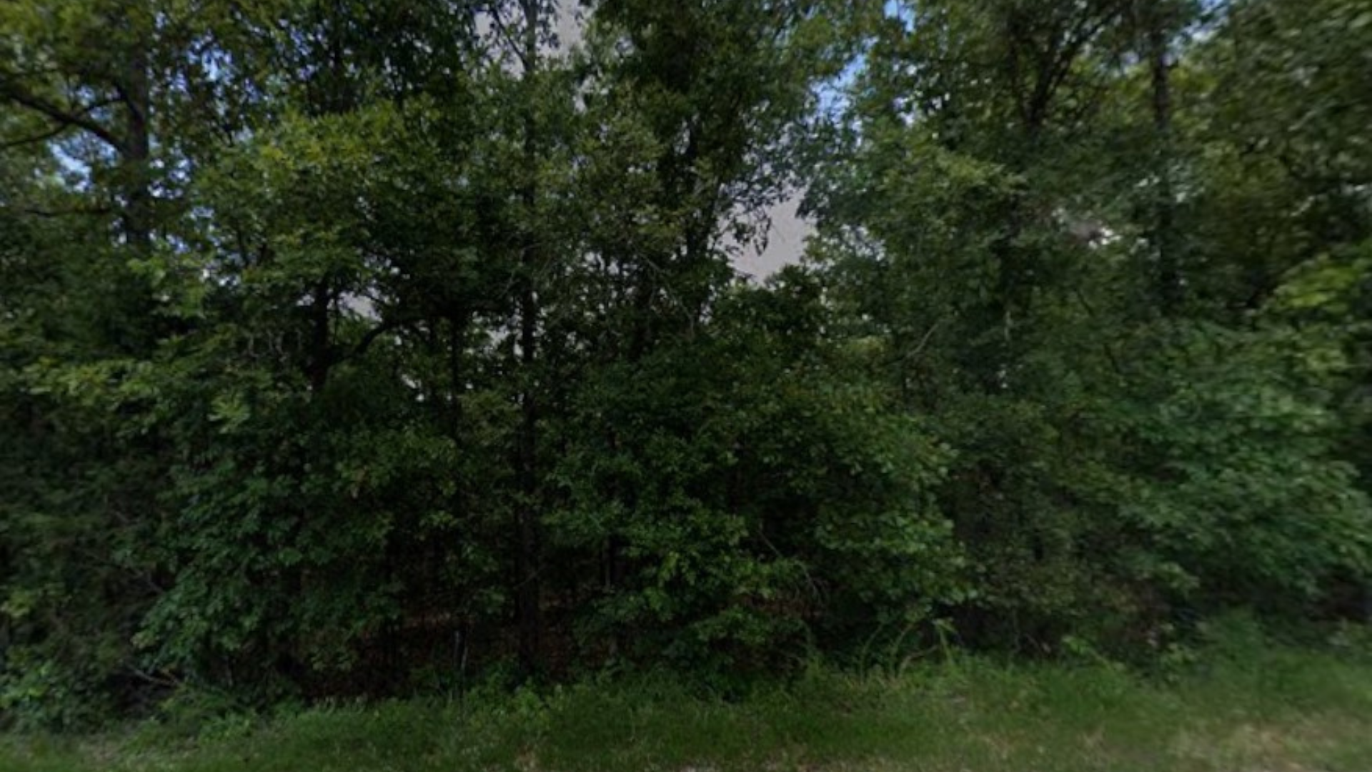 Love Your Land: 0.30 Acres in Fulton, AR for $75/Mo! Owner Financing! - Image 5