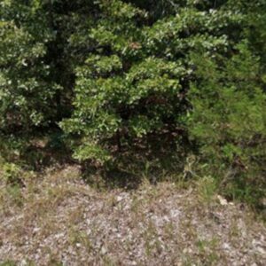 π Your Valentineβs Escape β 0.26 Acres in the Ozarks for $75/Month!