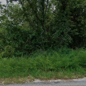 ❤️ Roses, Trees & Freedom — Own 0.40 Acres in Fulton, AR for Just $75/Mo! 🌿❤️