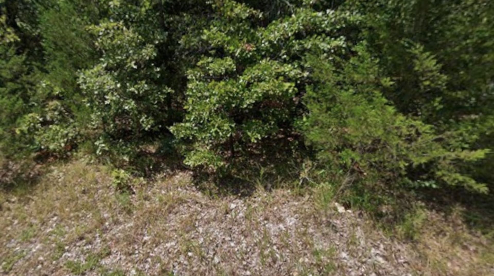 💖 Your Valentine’s Escape — 0.26 Acres in the Ozarks for $75/Month!