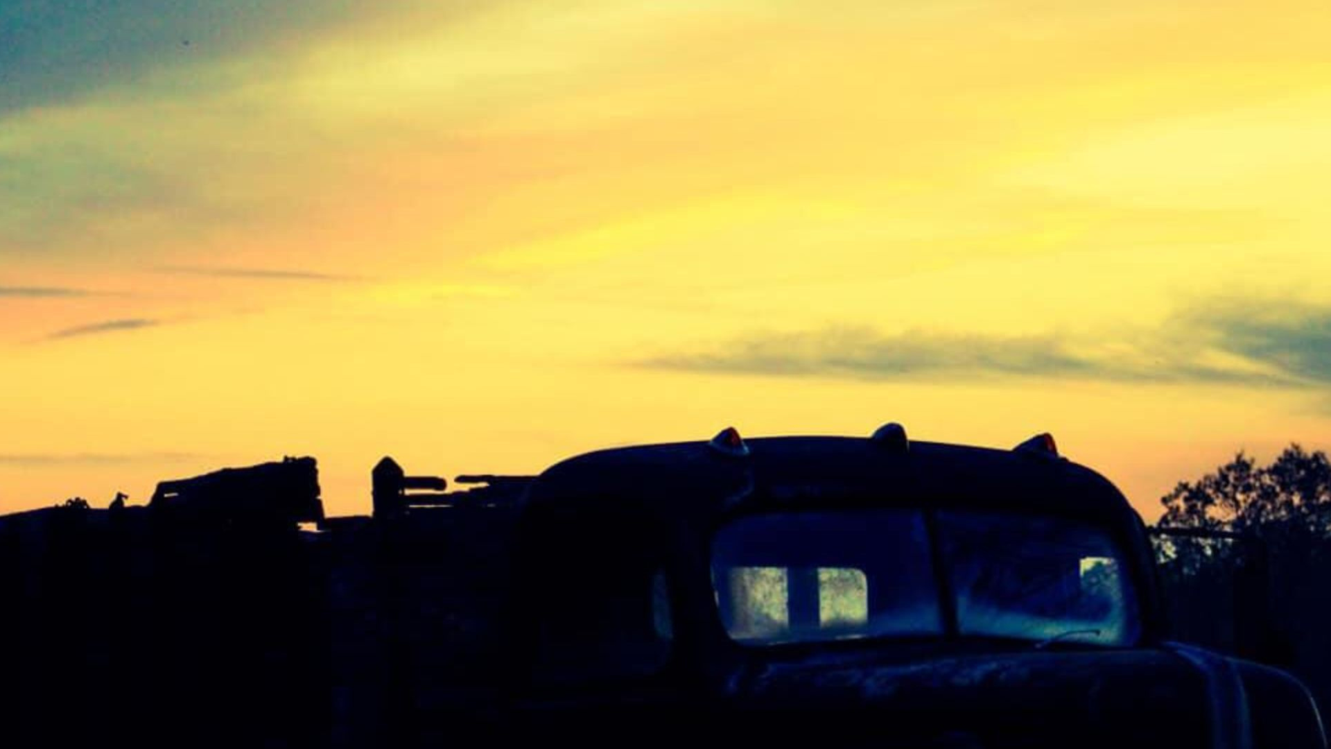 Love Your Land: 0.30 Acres in Fulton, AR for $75/Mo! Owner Financing! - Image 7