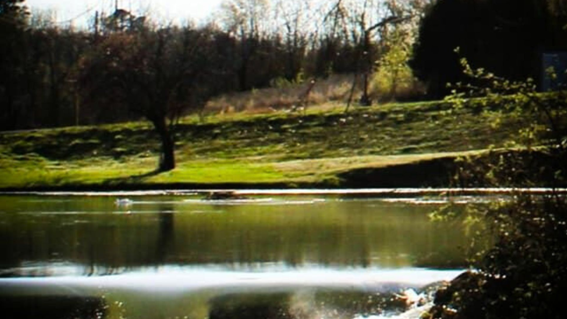 💖 Your Valentine’s Escape — 0.26 Acres in the Ozarks for $75/Month! - Image 8