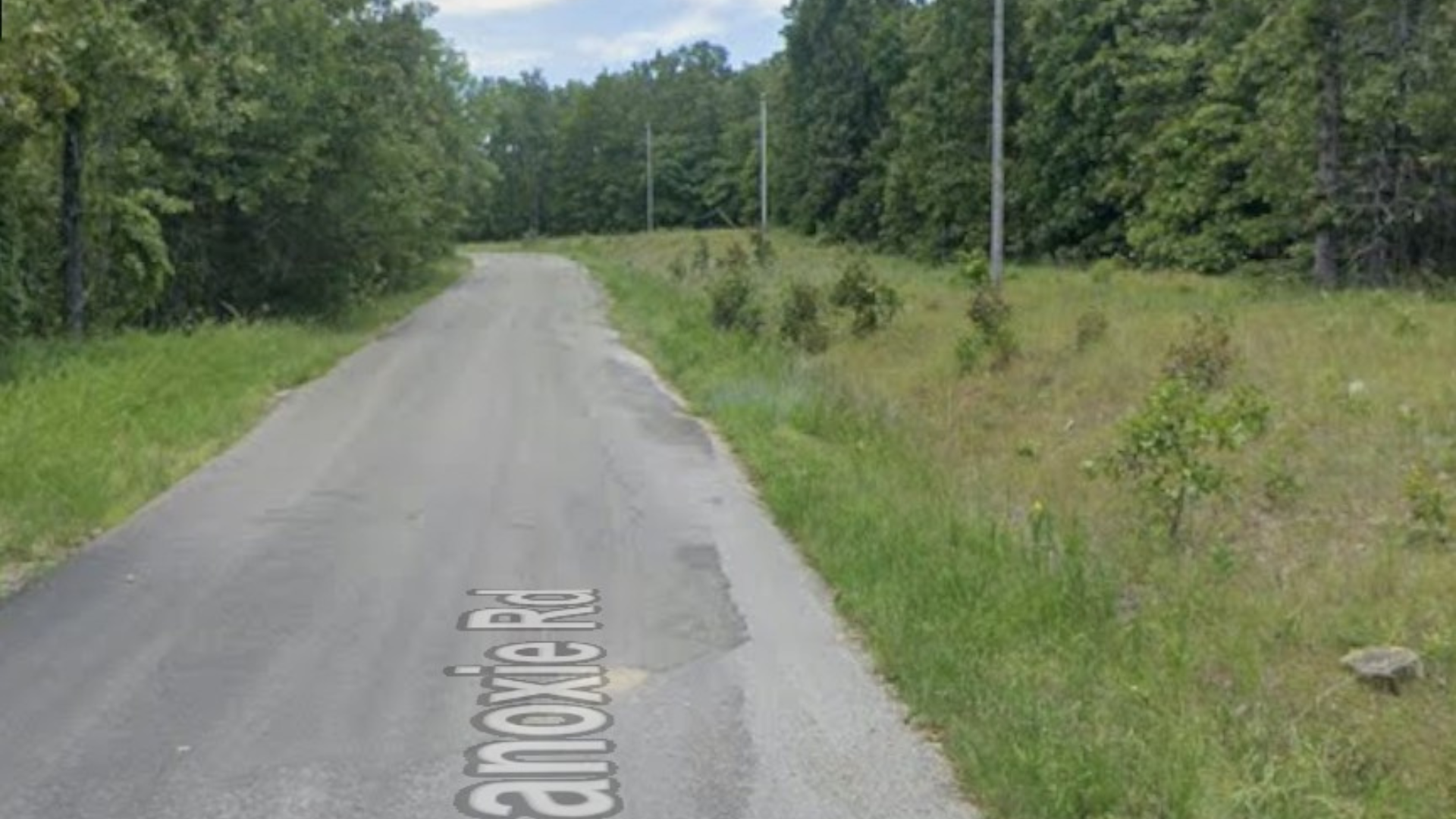 Love Your Land: 0.30 Acres in Fulton, AR for $75/Mo! Owner Financing! - Image 3