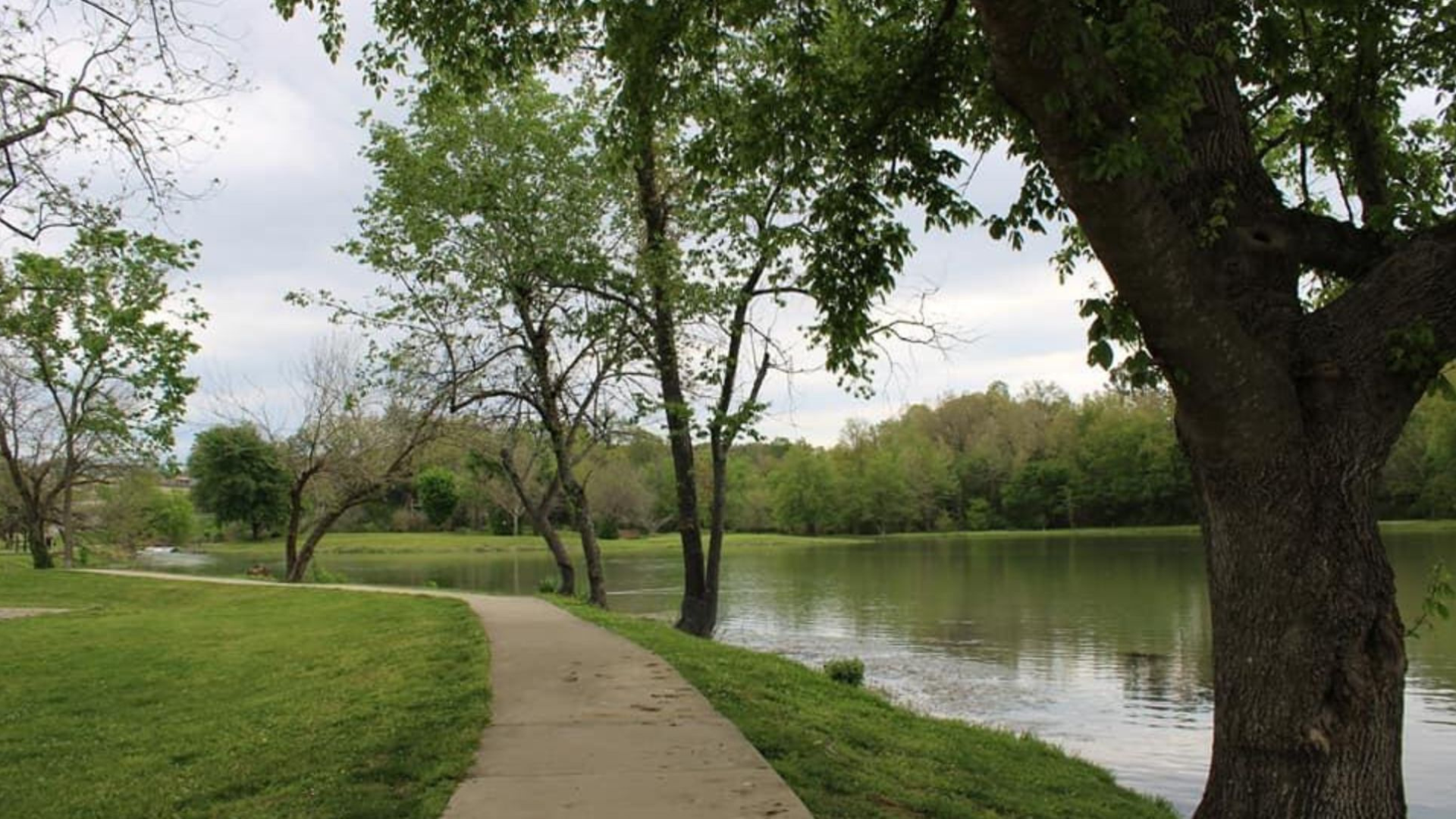 💖 Your Valentine’s Escape — 0.26 Acres in the Ozarks for $75/Month! - Image 9