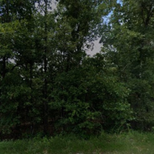 Love Your Land: 0.30 Acres in Fulton, AR for $75/Mo! Owner Financing!