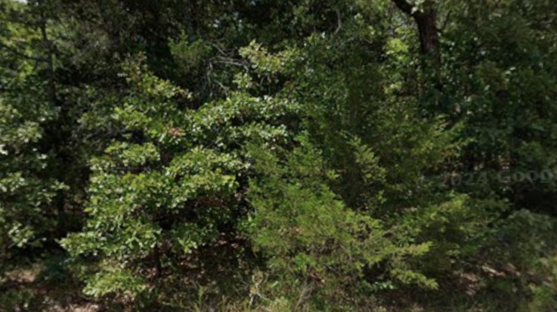 💖 Your Valentine’s Escape — 0.26 Acres in the Ozarks for $75/Month! - Image 5