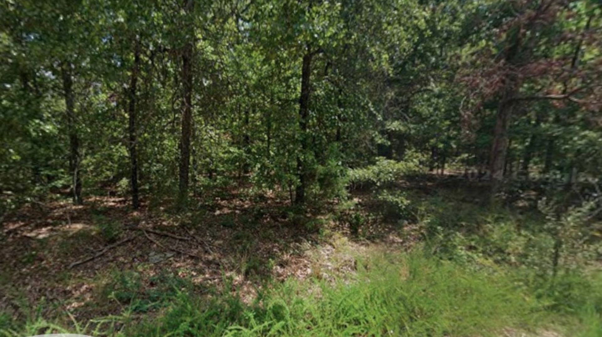 π Love at First Lot β Own 0.256 Acres in Fulton, AR for Just $75/Month! - Image 5