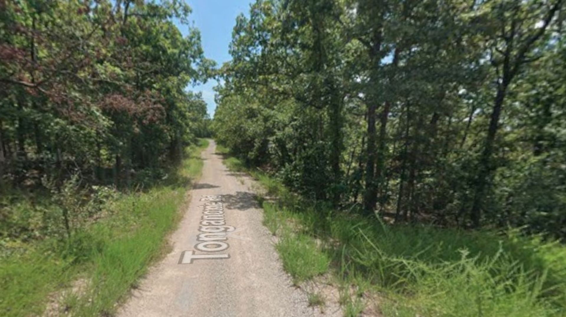 π Love at First Lot β Own 0.256 Acres in Fulton, AR for Just $75/Month! - Image 6