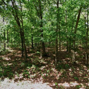 Simple Living Starts Here – Affordable Land in Horseshoe Bend, Arkansas $96/MO!